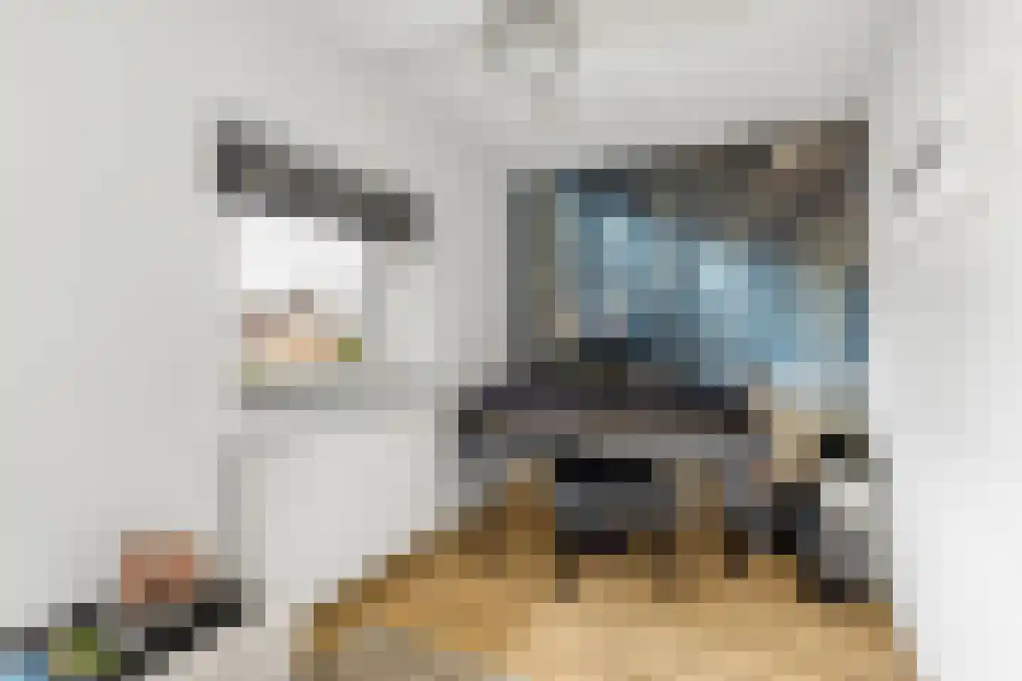 Kamille 16 Nijkerk thumbnail 21