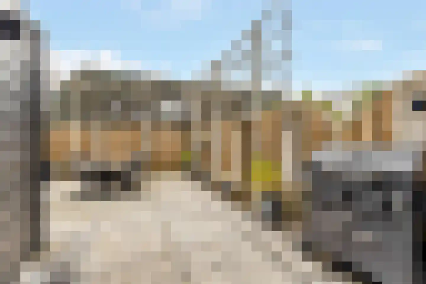 Kamille 16 Nijkerk thumbnail 28