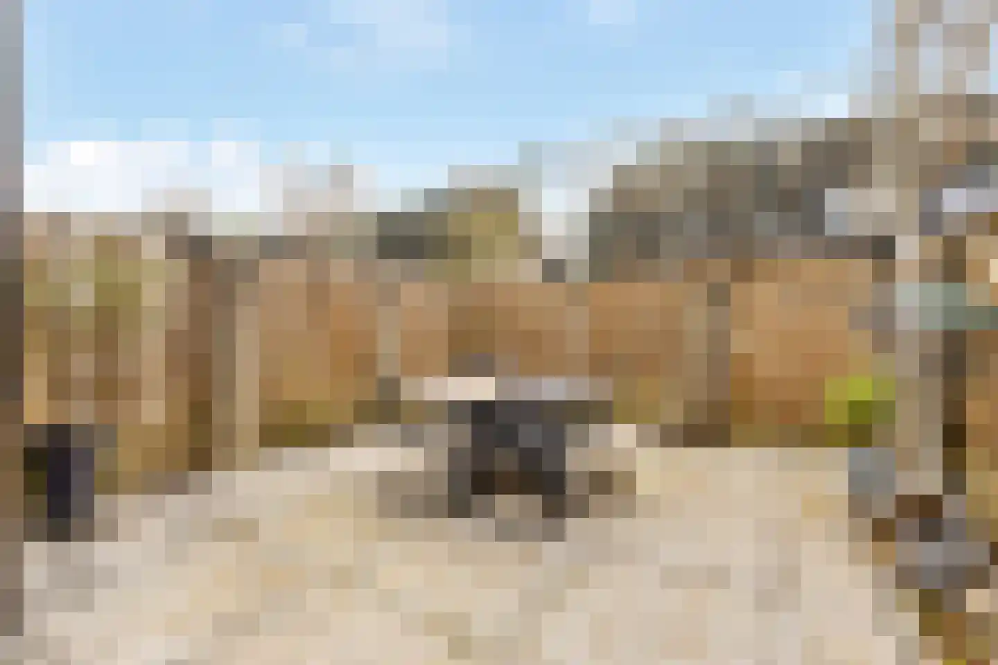 Kamille 16 Nijkerk thumbnail 29