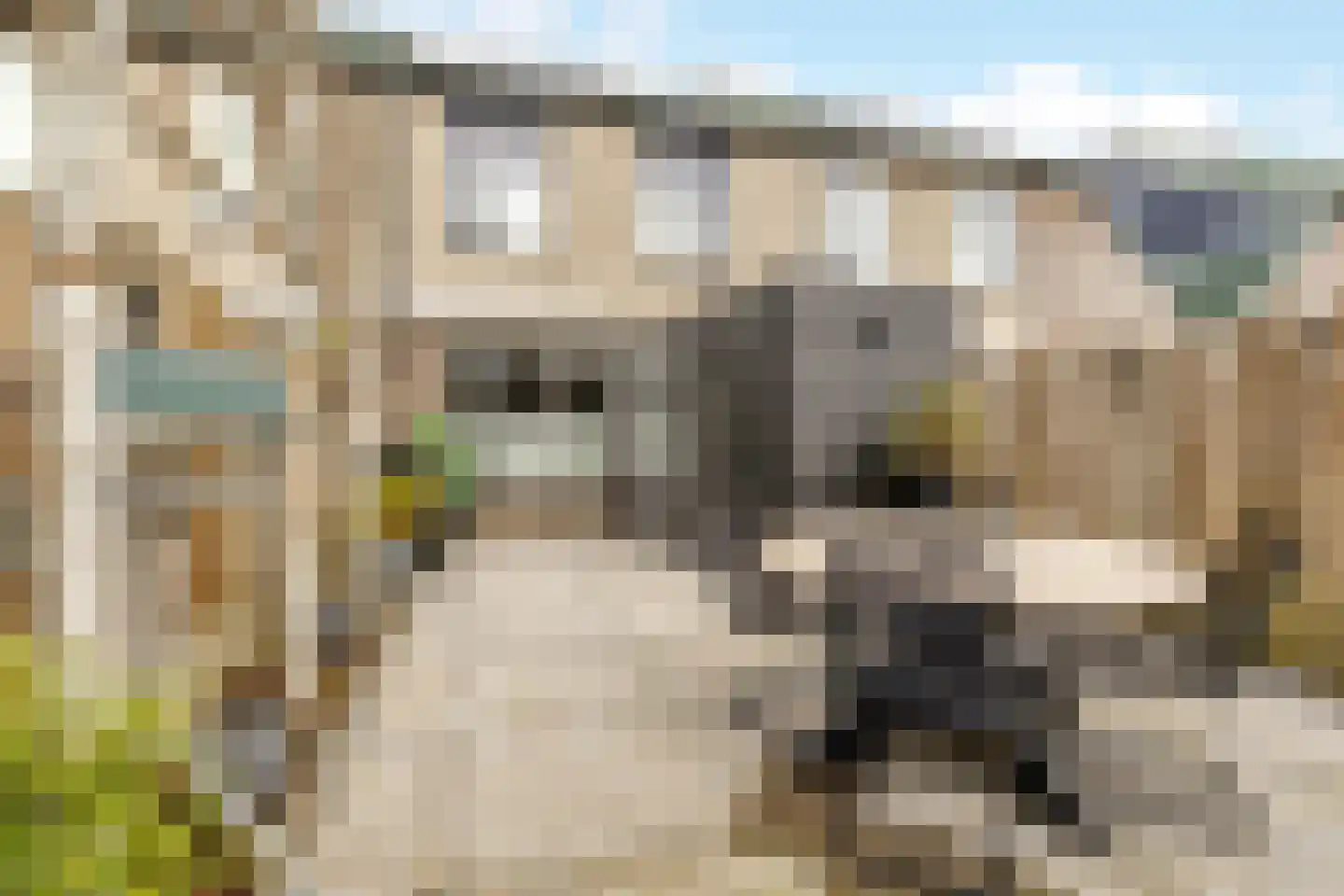 Kamille 16 Nijkerk thumbnail 6