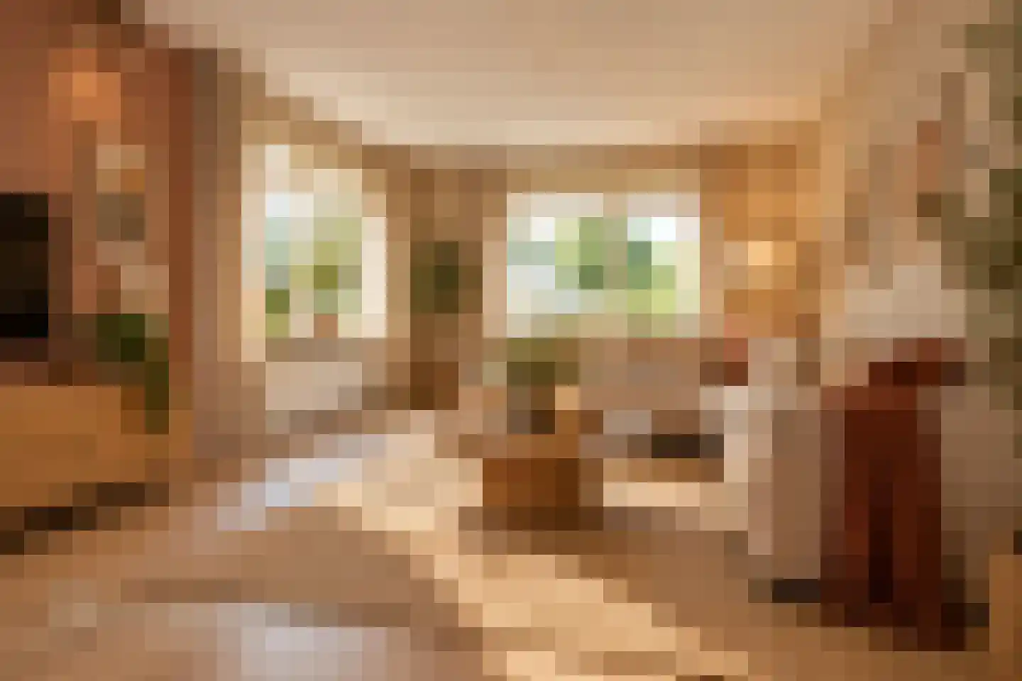 Kamille 18 Middenmeer thumbnail 15