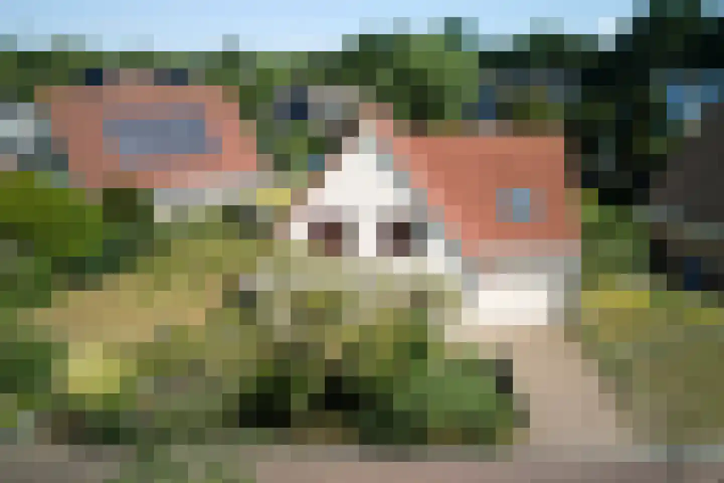 Kamille 18 Middenmeer thumbnail 5