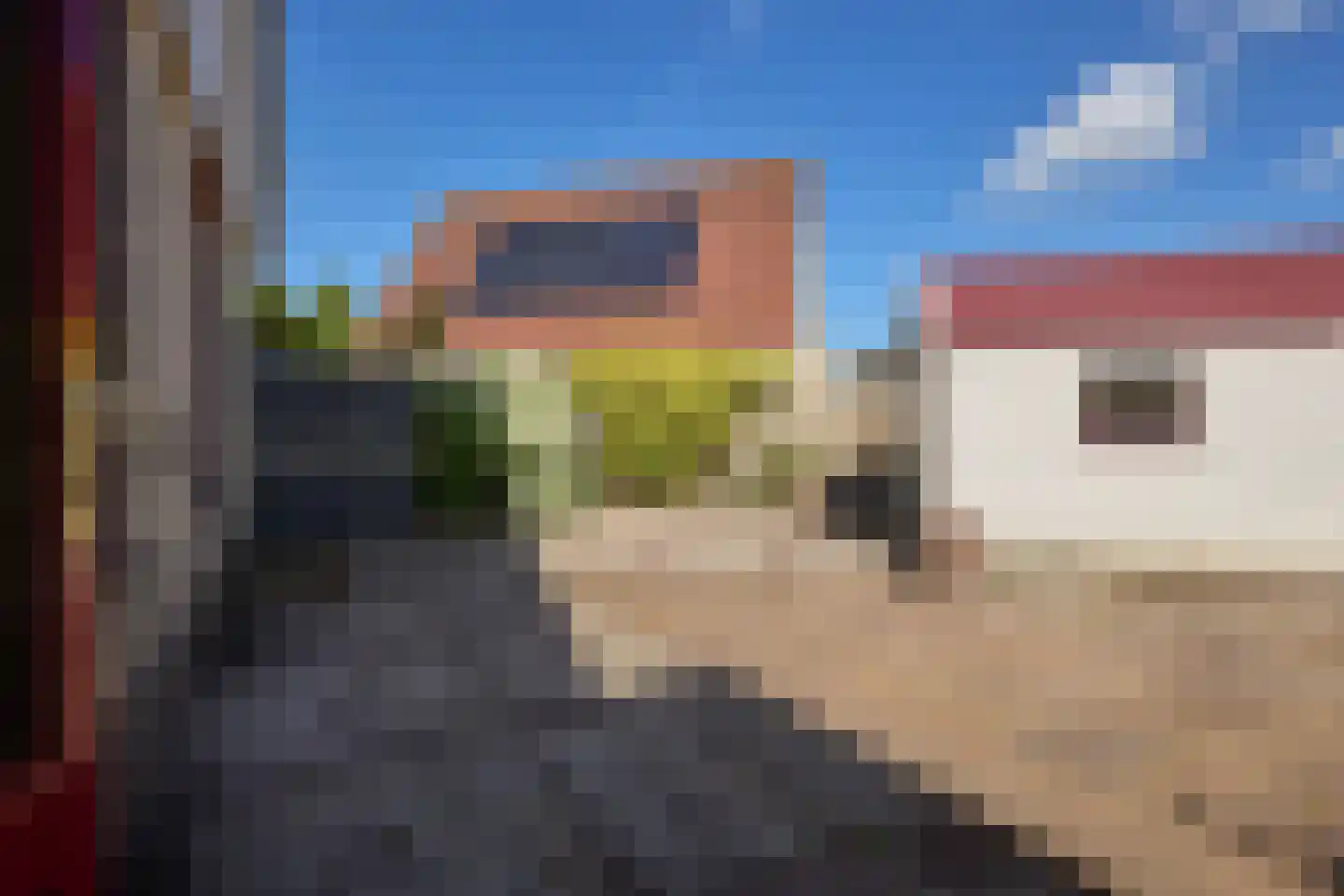 Kamille 18 Middenmeer thumbnail 51