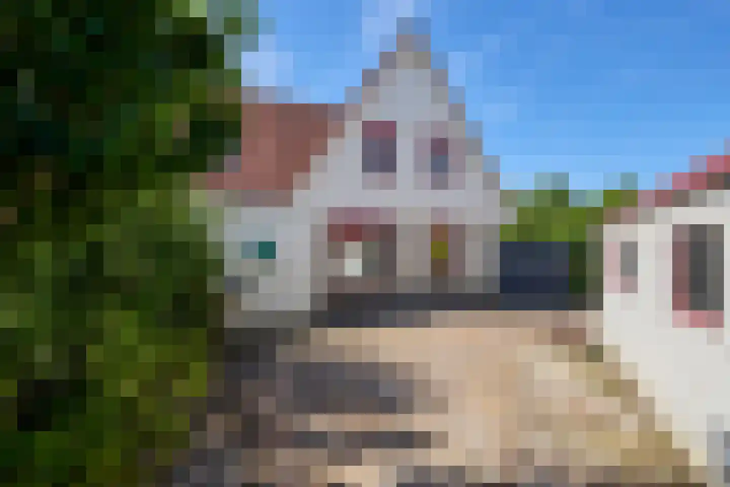 Kamille 18 Middenmeer thumbnail 52