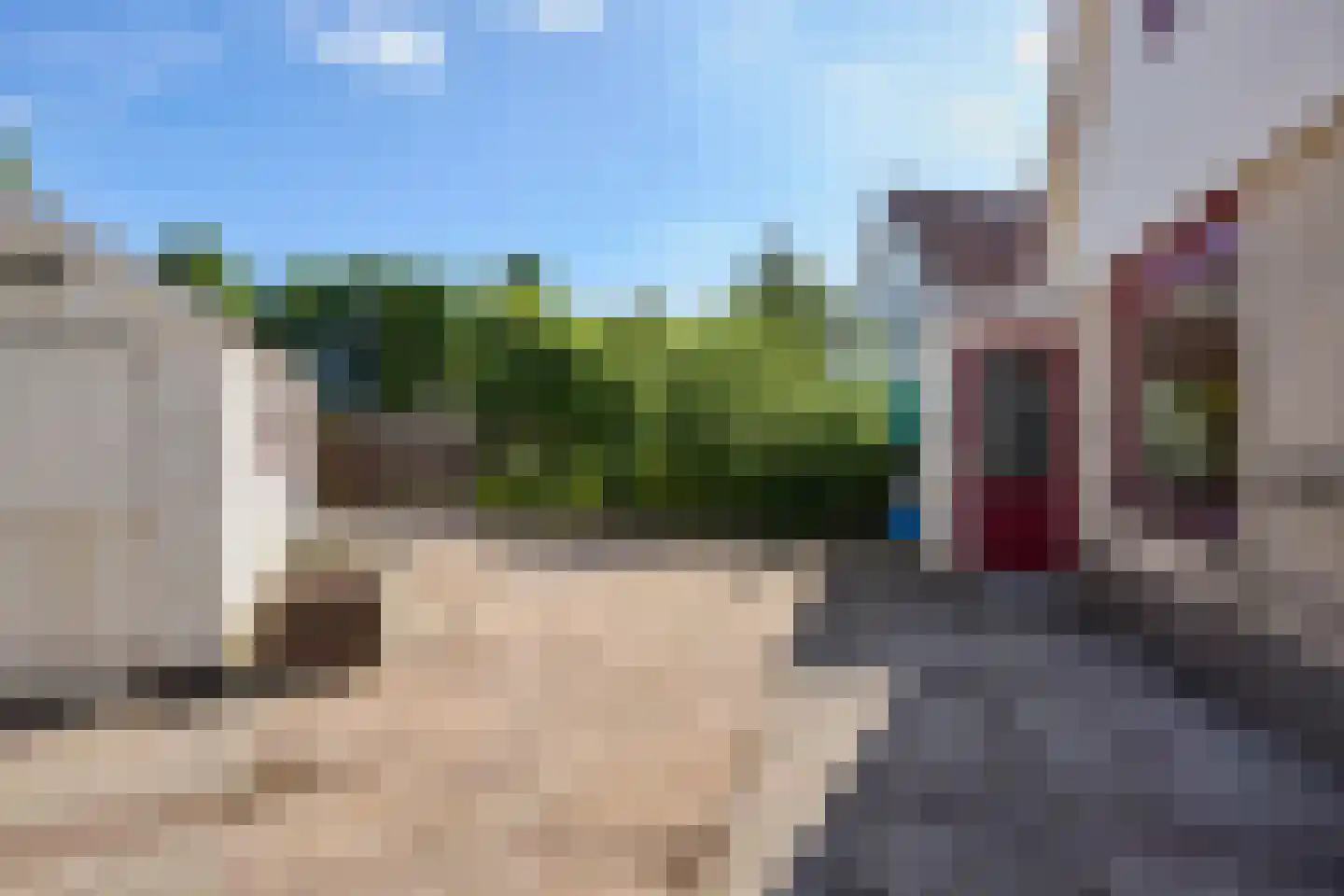 Kamille 18 Middenmeer thumbnail 53