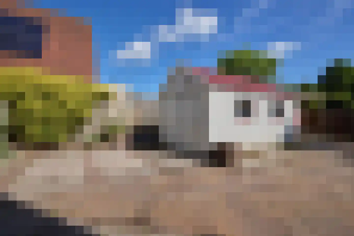 Kamille 18 Middenmeer thumbnail 54