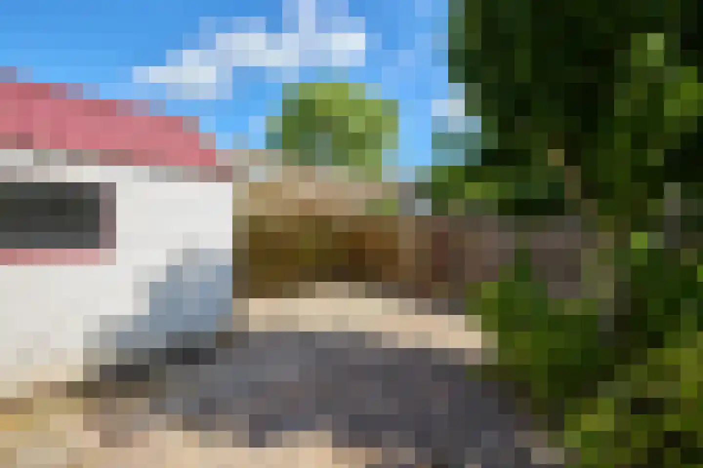 Kamille 18 Middenmeer thumbnail 55