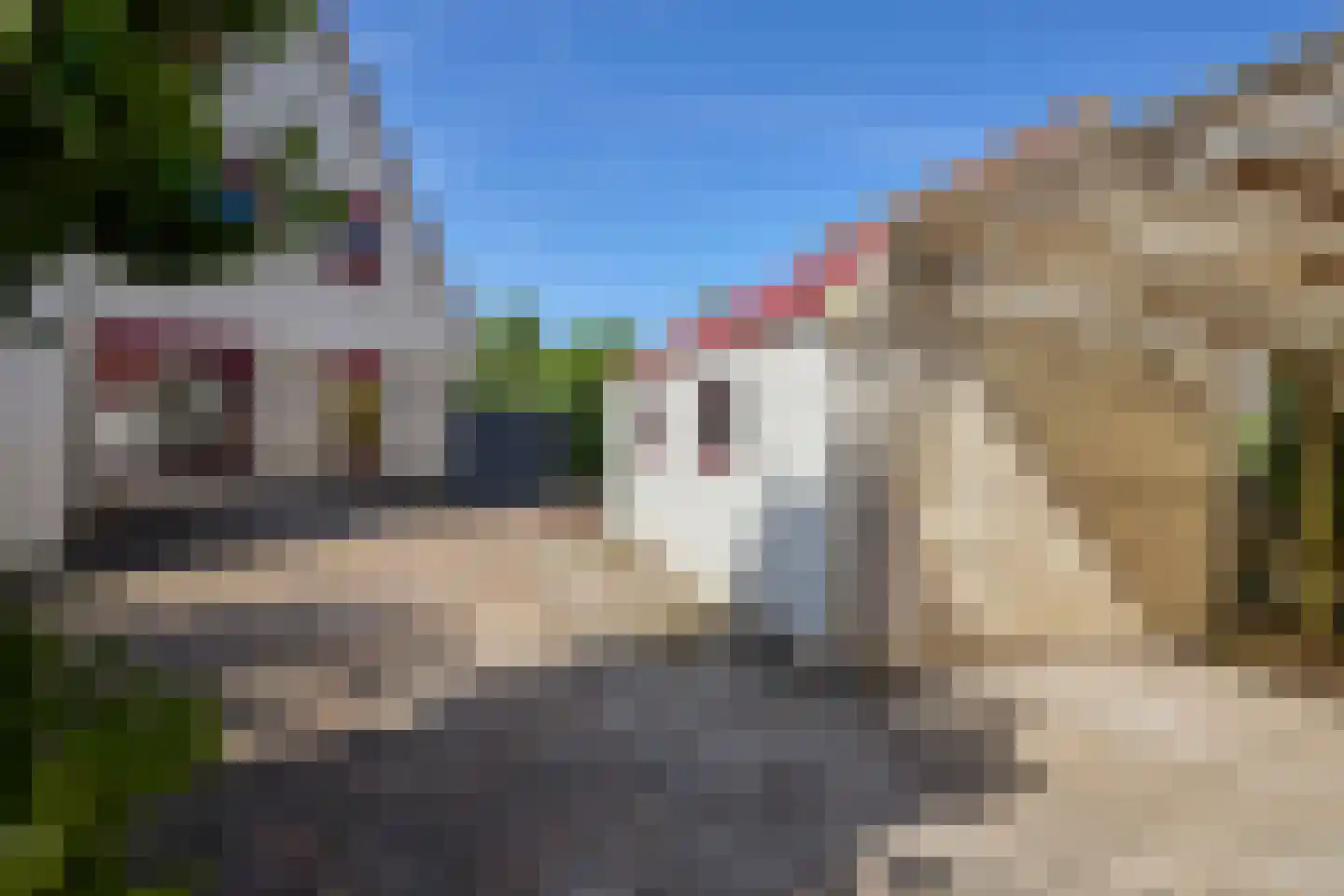 Kamille 18 Middenmeer thumbnail 56