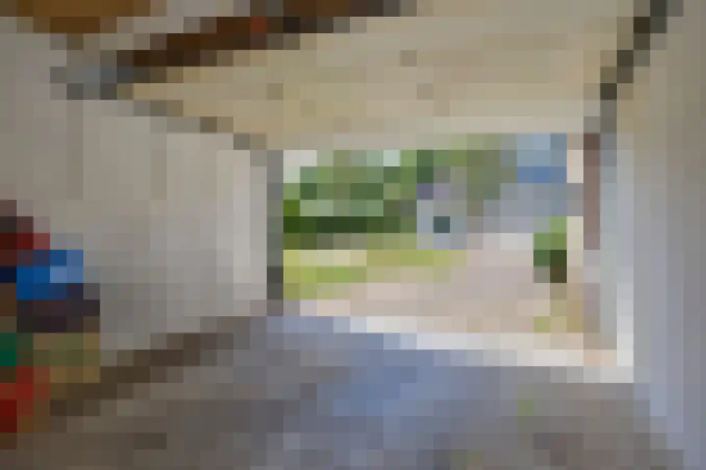 Kamille 18 Middenmeer thumbnail 59
