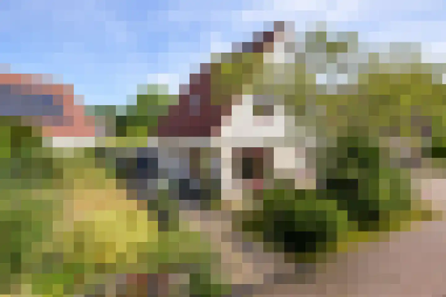 Kamille 18 Middenmeer thumbnail 6