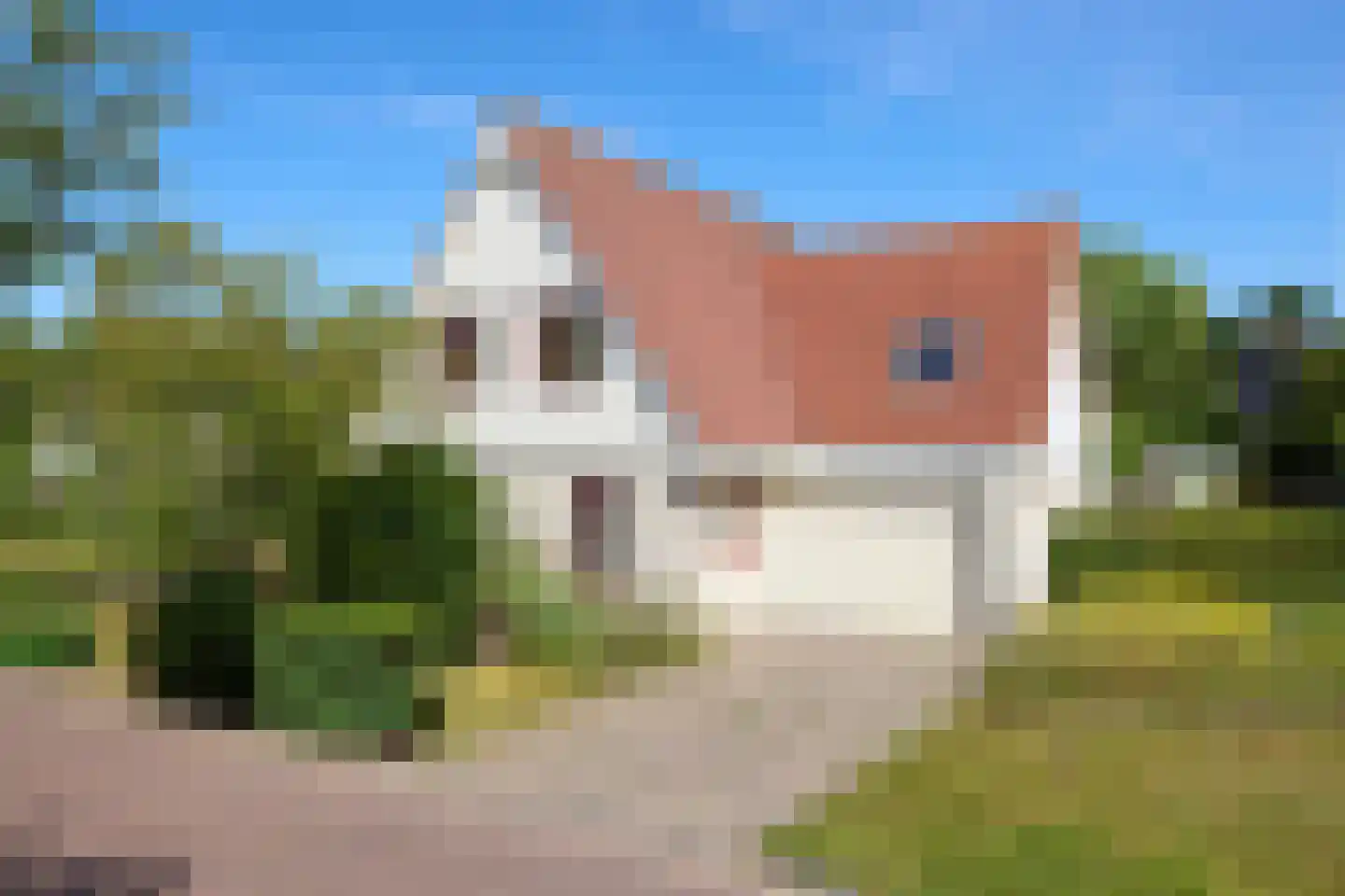 Kamille 18 Middenmeer thumbnail 60