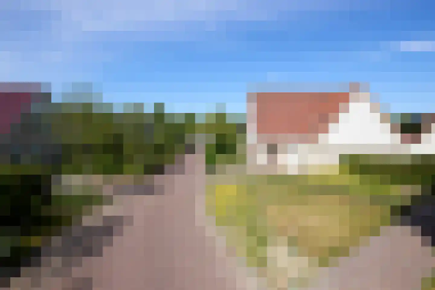 Kamille 18 Middenmeer thumbnail 61