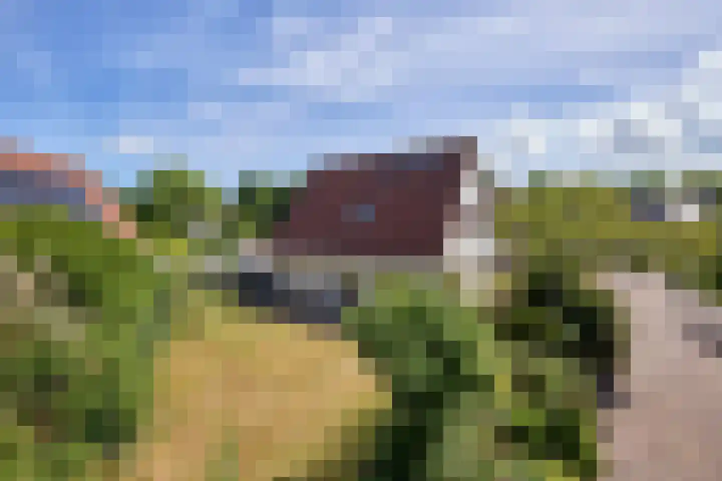 Kamille 18 Middenmeer thumbnail 62