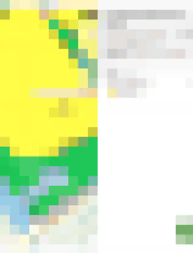 Kamille 18 Middenmeer thumbnail 64