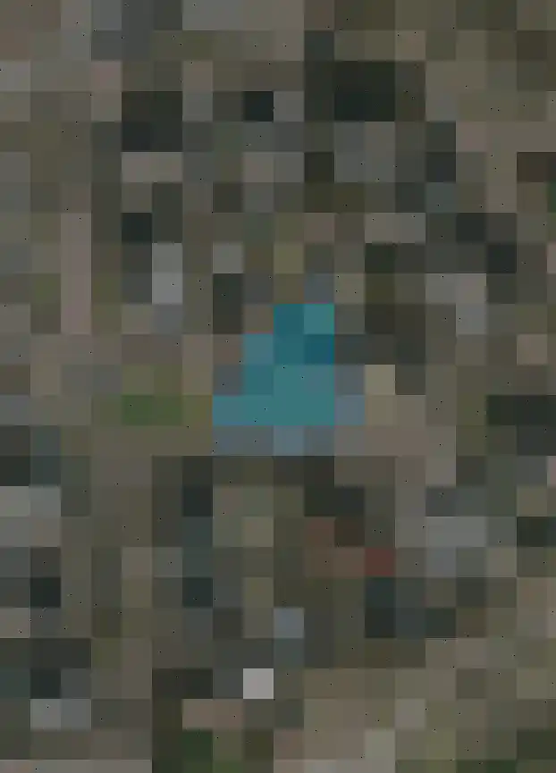 Kamille 18 Middenmeer thumbnail 67