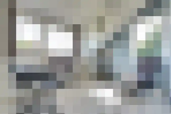 Kamille 2 Deventer thumbnail 15
