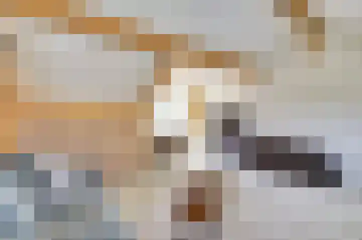 Kamille 2 Deventer thumbnail 18