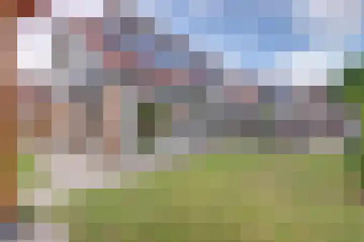 Kamille 2 Deventer thumbnail 19