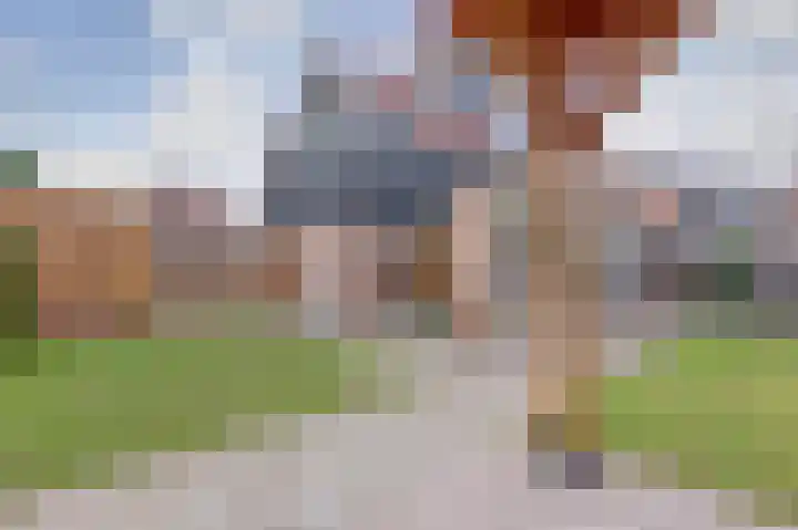 Kamille 2 Deventer thumbnail 20
