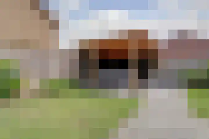 Kamille 2 Deventer thumbnail 21