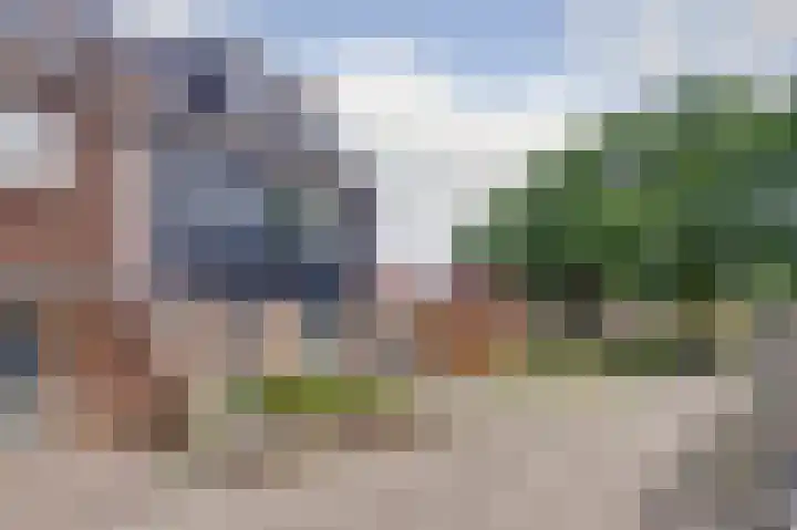 Kamille 2 Deventer thumbnail 23