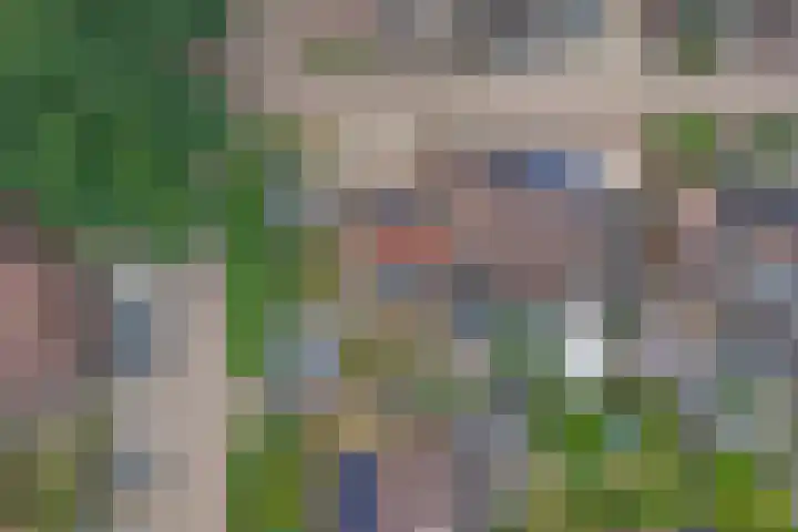 Kamille 2 Deventer thumbnail 24