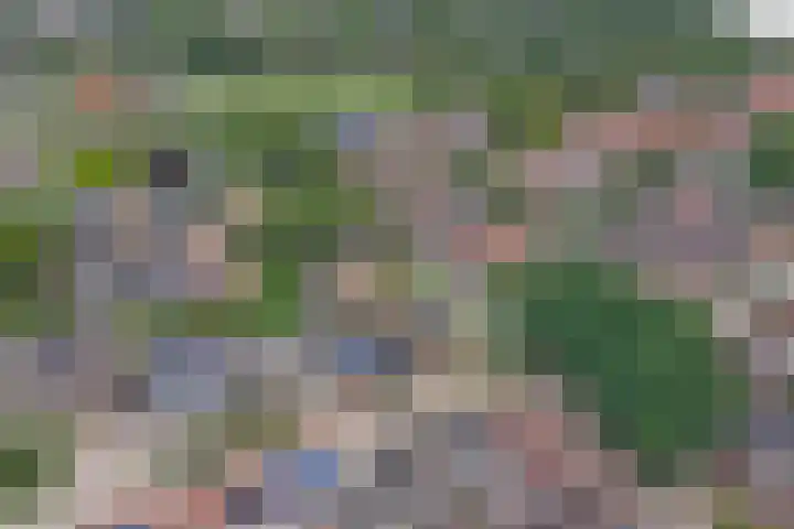 Kamille 2 Deventer thumbnail 25