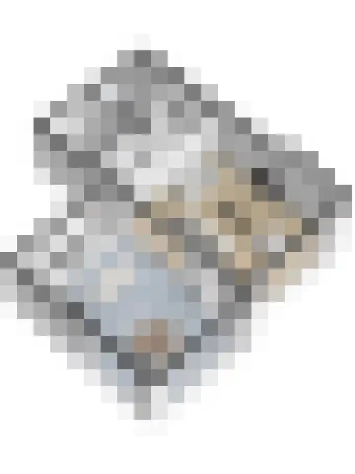 Kamille 2 Deventer thumbnail 37