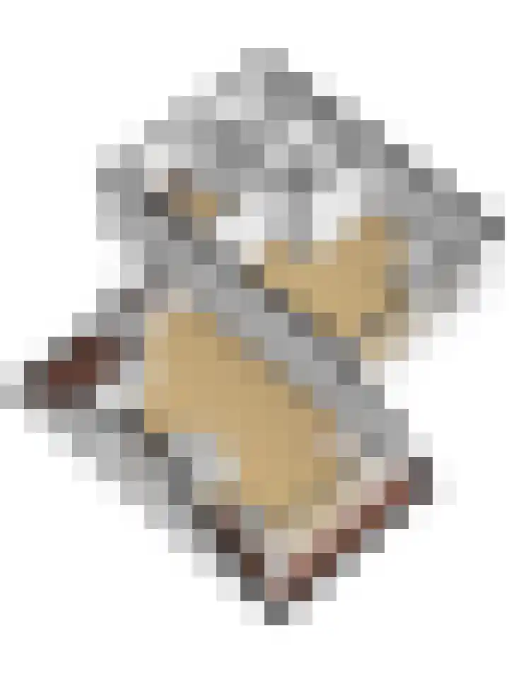 Kamille 2 Deventer thumbnail 38