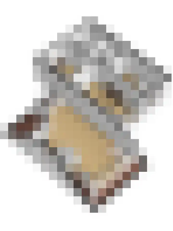 Kamille 2 Deventer thumbnail 39