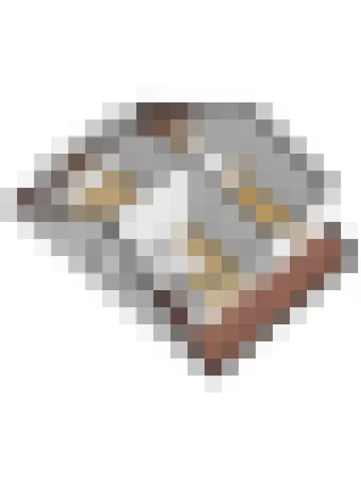 Kamille 2 Deventer thumbnail 40