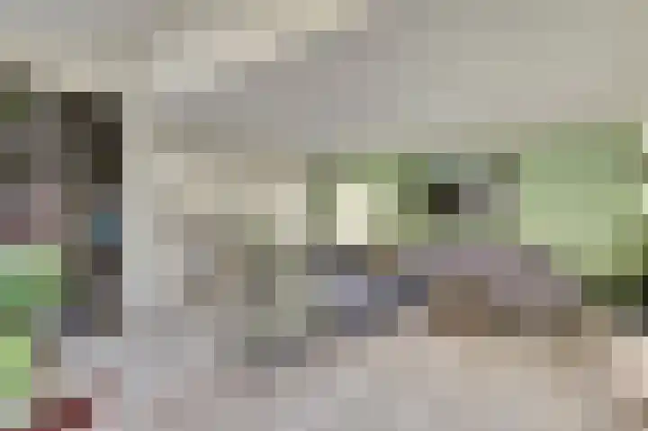 Kamille 2 Deventer thumbnail 5