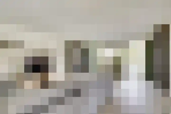 Kamille 2 Deventer thumbnail 6