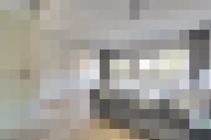 Kamille 2 Deventer thumbnail 9