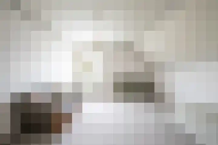 Kamille 2 Voerendaal thumbnail 16