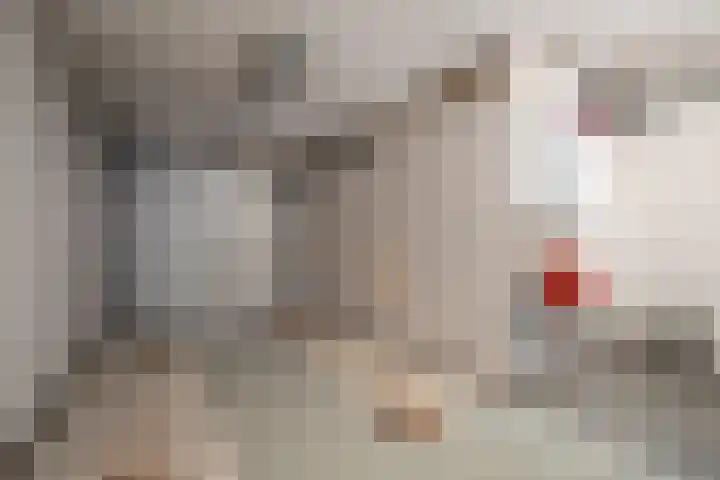 Kamille 2 Voerendaal thumbnail 18