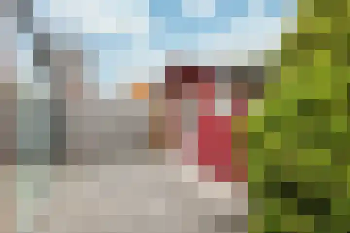 Kamille 2 Voerendaal thumbnail 21