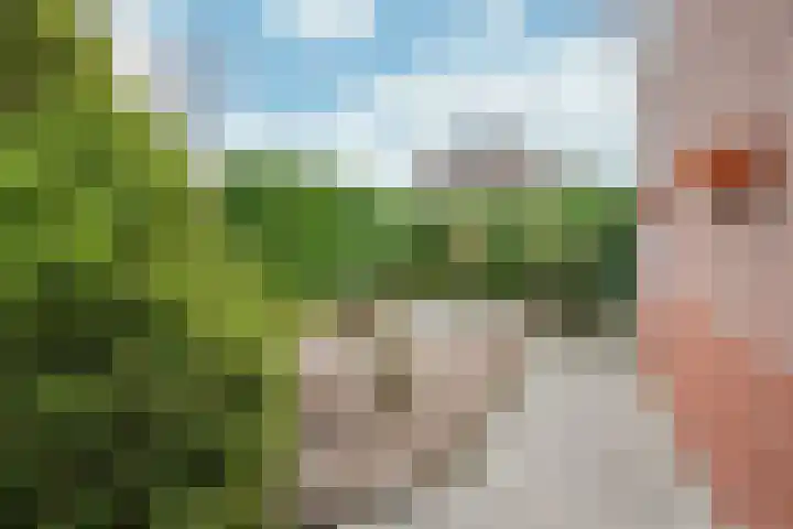 Kamille 2 Voerendaal thumbnail 22