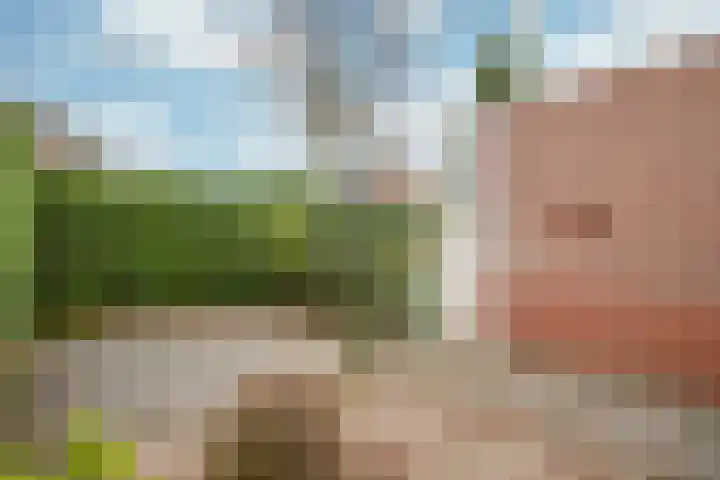 Kamille 2 Voerendaal thumbnail 23