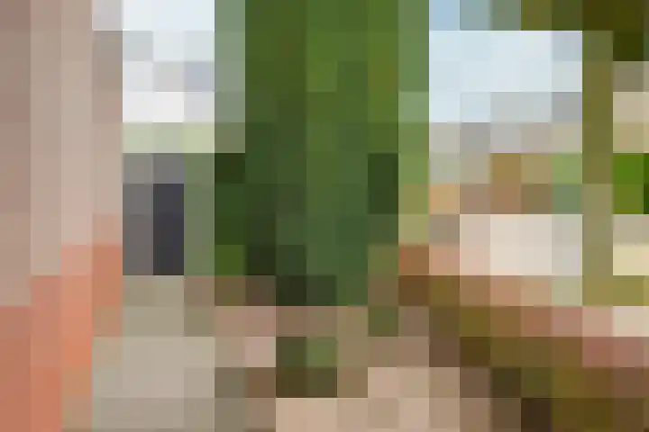 Kamille 2 Voerendaal thumbnail 25