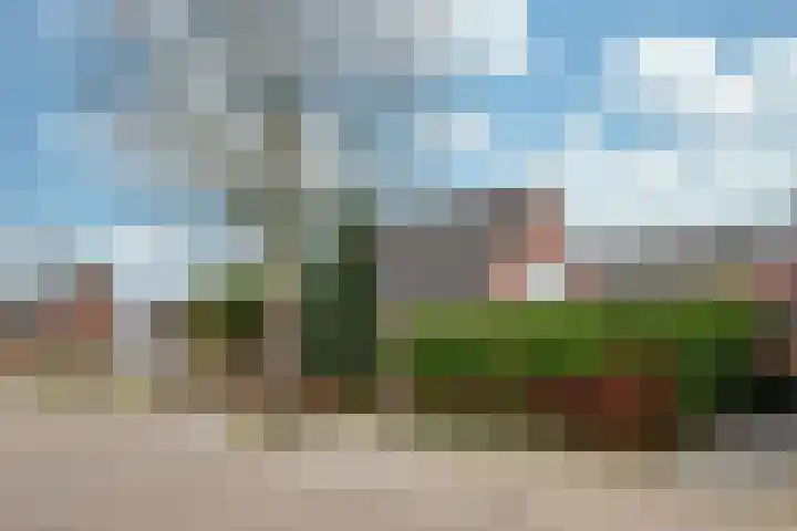 Kamille 2 Voerendaal thumbnail 26