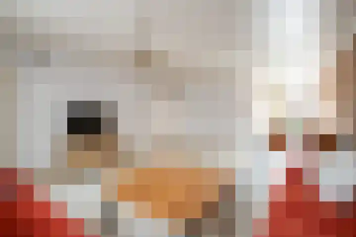Kamille 2 Voerendaal thumbnail 6