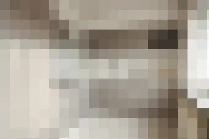 Kamille 2 Voerendaal thumbnail 8