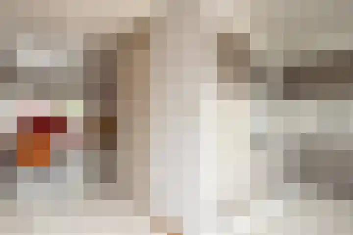 Kamille 2 Voerendaal thumbnail 9