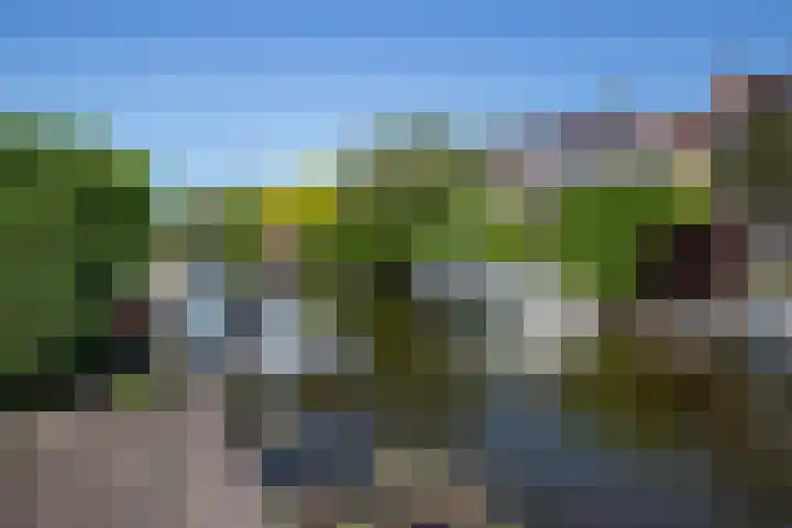 Kamille 21 Reeuwijk thumbnail 41