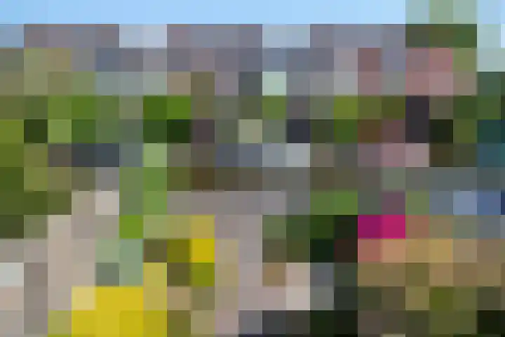 Kamille 21 Reeuwijk thumbnail 42