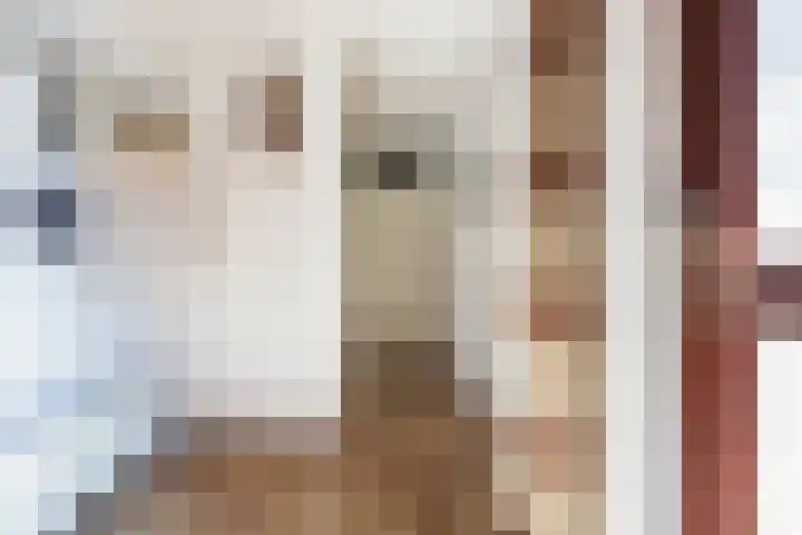 Kamille 21 Reeuwijk thumbnail 5