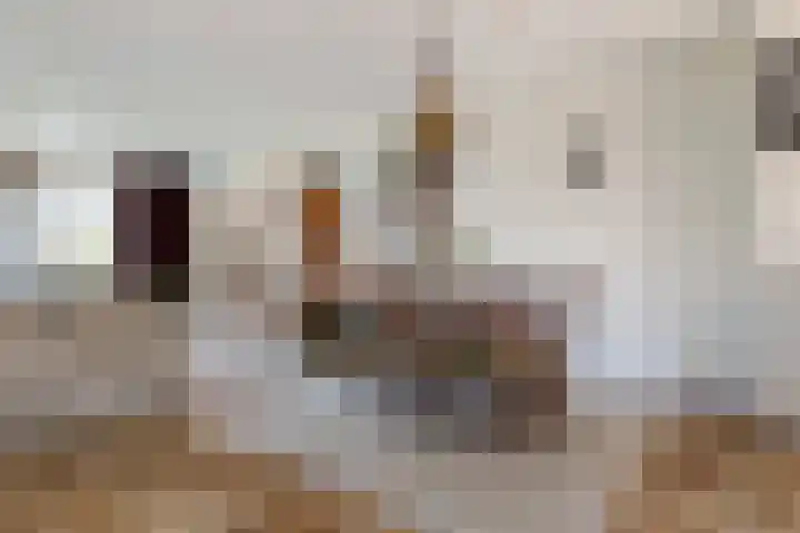 Kamille 21 Reeuwijk thumbnail 7