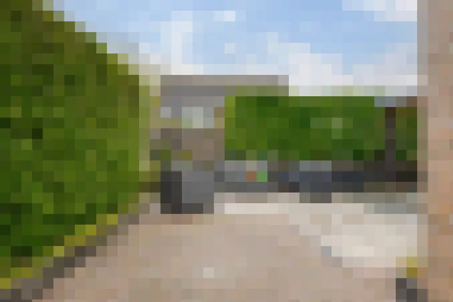 Kamille 21 Roden thumbnail 43
