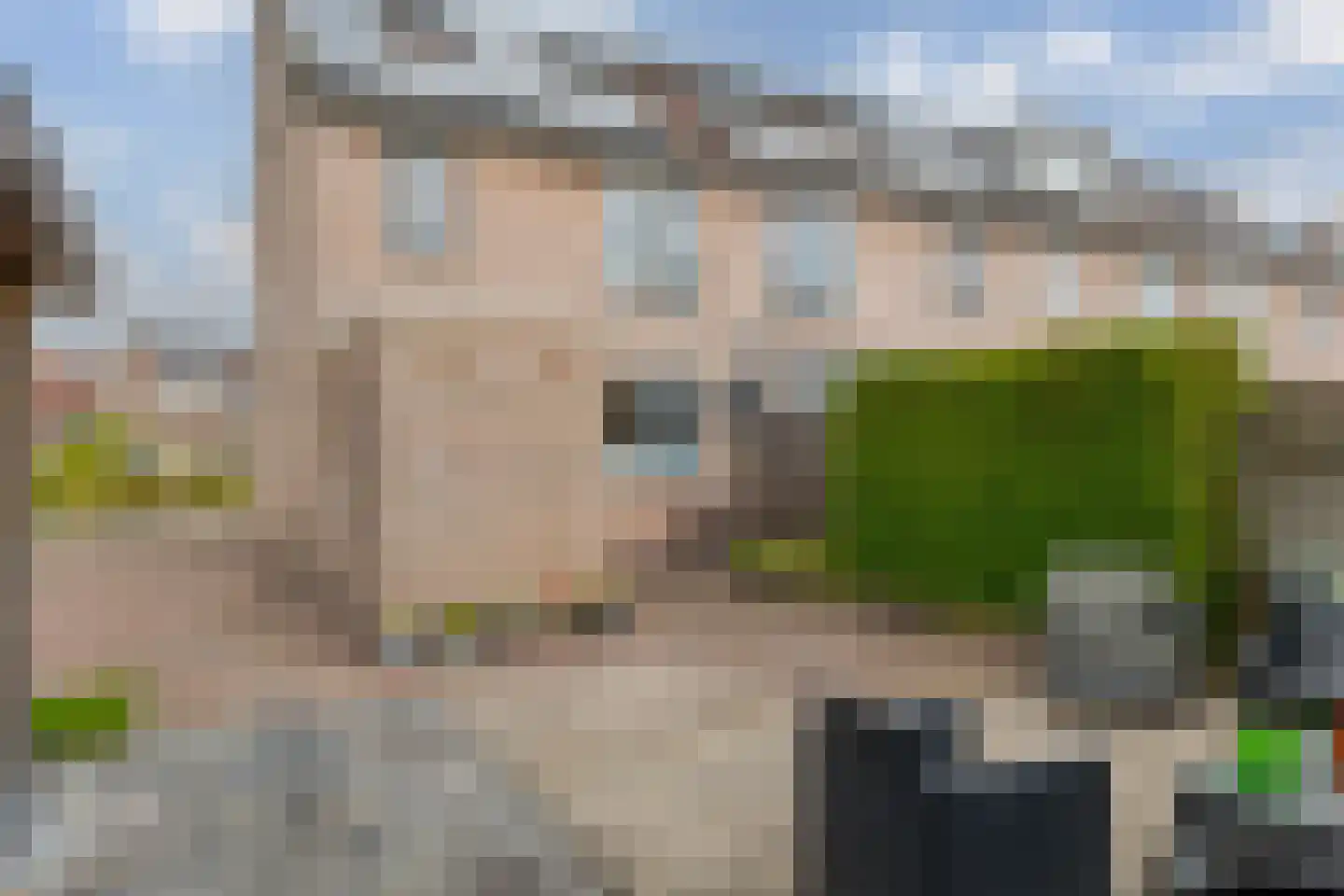 Kamille 21 Roden thumbnail 45